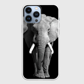 Чехол для iPhone 13 Pro Max с принтом Слон в Кировске,  |  | Тематика изображения на принте: africa | big | black   white | elephant is an animal | shroud | tusks | африка | бивни | большой | животное | идет | савана | слон | черно   белый