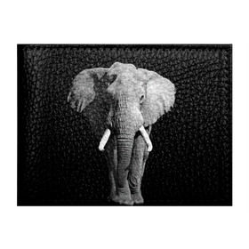 Обложка для студенческого билета с принтом Слон в Кировске, натуральная кожа | Размер: 11*8 см; Печать на всей внешней стороне | africa | big | black   white | elephant is an animal | shroud | tusks | африка | бивни | большой | животное | идет | савана | слон | черно   белый