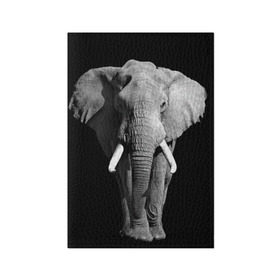 Обложка для паспорта матовая кожа с принтом Слон в Кировске, натуральная матовая кожа | размер 19,3 х 13,7 см; прозрачные пластиковые крепления | africa | big | black   white | elephant is an animal | shroud | tusks | африка | бивни | большой | животное | идет | савана | слон | черно   белый