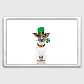Магнит 45*70 с принтом Ирландия в Кировске, Пластик | Размер: 78*52 мм; Размер печати: 70*45 | animal | breed | clover | dog | folk | fun | funny | hat | hero | ireland | irish | saint patrick | герой | животное | ирландия | ирландский | клевер | народный | порода | прикол | святой патрик | собака | шляпа | шутка