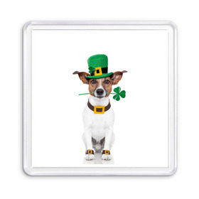 Магнит 55*55 с принтом Ирландия в Кировске, Пластик | Размер: 65*65 мм; Размер печати: 55*55 мм | Тематика изображения на принте: animal | breed | clover | dog | folk | fun | funny | hat | hero | ireland | irish | saint patrick | герой | животное | ирландия | ирландский | клевер | народный | порода | прикол | святой патрик | собака | шляпа | шутка