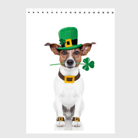 Скетчбук с принтом Ирландия в Кировске, 100% бумага
 | 48 листов, плотность листов — 100 г/м2, плотность картонной обложки — 250 г/м2. Листы скреплены сверху удобной пружинной спиралью | animal | breed | clover | dog | folk | fun | funny | hat | hero | ireland | irish | saint patrick | герой | животное | ирландия | ирландский | клевер | народный | порода | прикол | святой патрик | собака | шляпа | шутка