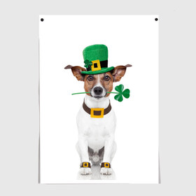 Постер с принтом Ирландия в Кировске, 100% бумага
 | бумага, плотность 150 мг. Матовая, но за счет высокого коэффициента гладкости имеет небольшой блеск и дает на свету блики, но в отличии от глянцевой бумаги не покрыта лаком | animal | breed | clover | dog | folk | fun | funny | hat | hero | ireland | irish | saint patrick | герой | животное | ирландия | ирландский | клевер | народный | порода | прикол | святой патрик | собака | шляпа | шутка