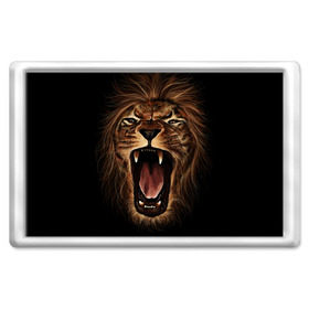 Магнит 45*70 с принтом Львиный рык в Кировске, Пластик | Размер: 78*52 мм; Размер печати: 70*45 | Тематика изображения на принте: animal | beast | cat | feline | king | lion | meow | pussy | rage | roar | животное | зверь | король | кот | кошка | лев | львица | мяу | рык | хищник | царь | ярость