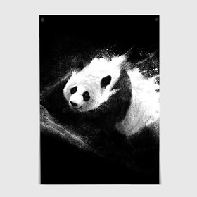 Постер с принтом Молочная панда в Кировске, 100% бумага
 | бумага, плотность 150 мг. Матовая, но за счет высокого коэффициента гладкости имеет небольшой блеск и дает на свету блики, но в отличии от глянцевой бумаги не покрыта лаком | animal | bear | beast | milk | nature | panda | животное | зверь | медведь | молоко | панда | природа