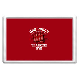 Магнит 45*70 с принтом One Punch Gym в Кировске, Пластик | Размер: 78*52 мм; Размер печати: 70*45 | boxing | combat | fight | fighter | kickboxing | muay thai | wrestling | боец | бой | бокс | боксер | драка | кикбоксинг | май тай