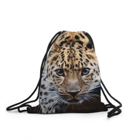 Рюкзак-мешок 3D с принтом Леопард в Кировске, 100% полиэстер | плотность ткани — 200 г/м2, размер — 35 х 45 см; лямки — толстые шнурки, застежка на шнуровке, без карманов и подкладки | Тематика изображения на принте: взгляд | глаза | дикая кошка | леопард | хищник