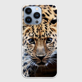 Чехол для iPhone 13 Pro с принтом Леопард в Кировске,  |  | Тематика изображения на принте: взгляд | глаза | дикая кошка | леопард | хищник