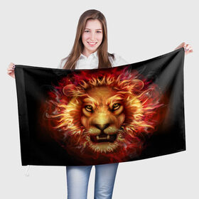 Флаг 3D с принтом Огненный лев в Кировске, 100% полиэстер | плотность ткани — 95 г/м2, размер — 67 х 109 см. Принт наносится с одной стороны | animal | fire | flame | head | lion | look | predator | взгляд | голова | животное | лев | огненный | огонь | пламя | хищник