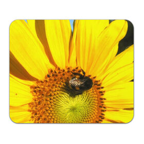 Коврик прямоугольный с принтом пчела на подсолнухе в Кировске, натуральный каучук | размер 230 х 185 мм; запечатка лицевой стороны | Тематика изображения на принте: лето | насекомое | подсолнух | пчела