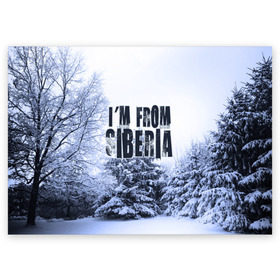 Поздравительная открытка с принтом Я из Сибири в Кировске, 100% бумага | плотность бумаги 280 г/м2, матовая, на обратной стороне линовка и место для марки
 | Тематика изображения на принте: siberia | зима | россия | сибирь | снег | холод