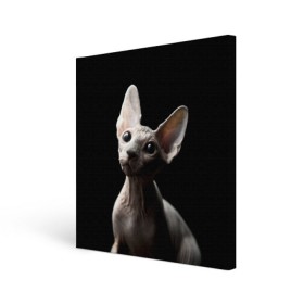 Холст квадратный с принтом Сфинкс в Кировске, 100% ПВХ |  | Тематика изображения на принте: black | cat | взгляд | кот | котик | котэ | кошка | сфинкс | уши | черный