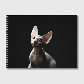 Альбом для рисования с принтом Сфинкс в Кировске, 100% бумага
 | матовая бумага, плотность 200 мг. | Тематика изображения на принте: black | cat | взгляд | кот | котик | котэ | кошка | сфинкс | уши | черный