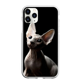 Чехол для iPhone 11 Pro матовый с принтом Сфинкс в Кировске, Силикон |  | Тематика изображения на принте: black | cat | взгляд | кот | котик | котэ | кошка | сфинкс | уши | черный