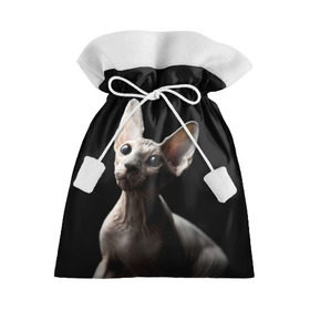 Подарочный 3D мешок с принтом Сфинкс в Кировске, 100% полиэстер | Размер: 29*39 см | Тематика изображения на принте: black | cat | взгляд | кот | котик | котэ | кошка | сфинкс | уши | черный