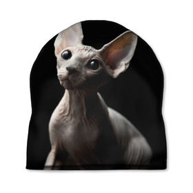 Шапка 3D с принтом Сфинкс в Кировске, 100% полиэстер | универсальный размер, печать по всей поверхности изделия | Тематика изображения на принте: black | cat | взгляд | кот | котик | котэ | кошка | сфинкс | уши | черный