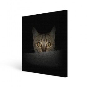 Холст квадратный с принтом Котик в Кировске, 100% ПВХ |  | животные | кот | котенок | котик | кошка