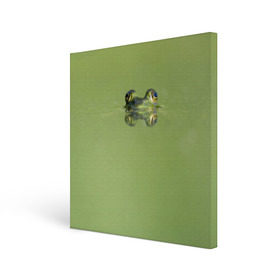 Холст квадратный с принтом Лягушка в Кировске, 100% ПВХ |  | Тематика изображения на принте: болото | жаба | животные | лягушка