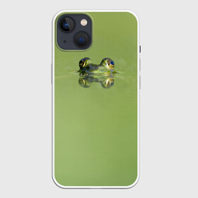 Чехол для iPhone 13 с принтом Лягушка в Кировске,  |  | болото | жаба | животные | лягушка