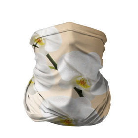 Бандана-труба 3D с принтом Orhid в Кировске, 100% полиэстер, ткань с особыми свойствами — Activecool | плотность 150‒180 г/м2; хорошо тянется, но сохраняет форму | девушки | красота | орхидея | прелесть | цветы