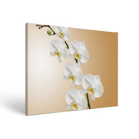 Холст прямоугольный с принтом Orhid в Кировске, 100% ПВХ |  | девушки | красота | орхидея | прелесть | цветы