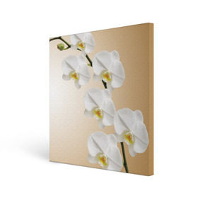 Холст квадратный с принтом Orhid в Кировске, 100% ПВХ |  | Тематика изображения на принте: девушки | красота | орхидея | прелесть | цветы