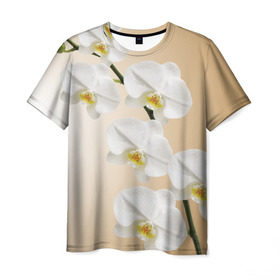 Мужская футболка 3D с принтом Orhid в Кировске, 100% полиэфир | прямой крой, круглый вырез горловины, длина до линии бедер | девушки | красота | орхидея | прелесть | цветы
