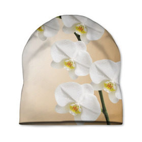 Шапка 3D с принтом Orhid в Кировске, 100% полиэстер | универсальный размер, печать по всей поверхности изделия | девушки | красота | орхидея | прелесть | цветы