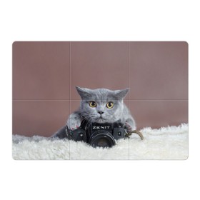 Магнитный плакат 3Х2 с принтом Котик фотограф в Кировске, Полимерный материал с магнитным слоем | 6 деталей размером 9*9 см | кот | котик | кошка | объектив | фотоаппарат | фотограф