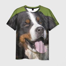 Мужская футболка 3D с принтом Бернский зенненхунд в Кировске, 100% полиэфир | прямой крой, круглый вырез горловины, длина до линии бедер | волкодав | дворняжка | домашние животные | любимец | мопс | овчарка | пес | песик | питомец | сенбернар | собака | собачка
