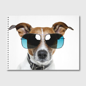 Альбом для рисования с принтом Джек Рассел в очках в Кировске, 100% бумага
 | матовая бумага, плотность 200 мг. | волкодав | дворняжка | джек | джек рассел | домашние животные | любимец | мопс | овчарка | пес | песик | питомец | рассел | сенбернар | собака | собачка