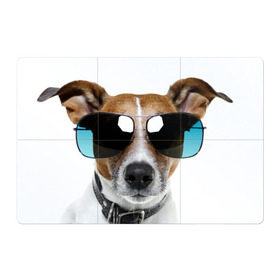 Магнитный плакат 3Х2 с принтом Джек Рассел в очках в Кировске, Полимерный материал с магнитным слоем | 6 деталей размером 9*9 см | волкодав | дворняжка | джек | джек рассел | домашние животные | любимец | мопс | овчарка | пес | песик | питомец | рассел | сенбернар | собака | собачка