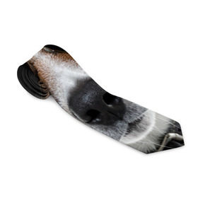 Галстук 3D с принтом Джек Рассел в очках в Кировске, 100% полиэстер | Длина 148 см; Плотность 150-180 г/м2 | волкодав | дворняжка | джек | джек рассел | домашние животные | любимец | мопс | овчарка | пес | песик | питомец | рассел | сенбернар | собака | собачка