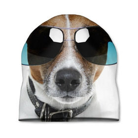 Шапка 3D с принтом Джек Рассел в очках в Кировске, 100% полиэстер | универсальный размер, печать по всей поверхности изделия | волкодав | дворняжка | джек | джек рассел | домашние животные | любимец | мопс | овчарка | пес | песик | питомец | рассел | сенбернар | собака | собачка