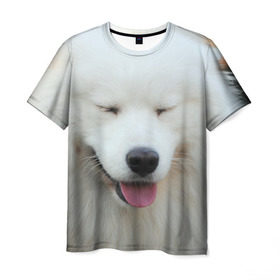 Мужская футболка 3D с принтом Самоед в Кировске, 100% полиэфир | прямой крой, круглый вырез горловины, длина до линии бедер | далматин | лабрадор | любимец | овчарка | пес | питомец | самоед | собака | собачка | щенок