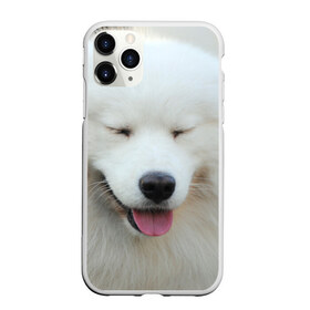 Чехол для iPhone 11 Pro матовый с принтом Самоед в Кировске, Силикон |  | Тематика изображения на принте: далматин | лабрадор | любимец | овчарка | пес | питомец | самоед | собака | собачка | щенок