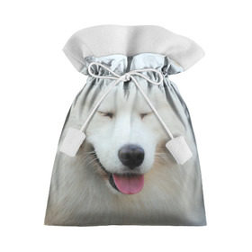 Подарочный 3D мешок с принтом Самоед в Кировске, 100% полиэстер | Размер: 29*39 см | далматин | лабрадор | любимец | овчарка | пес | питомец | самоед | собака | собачка | щенок