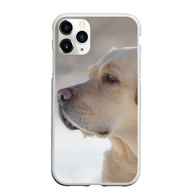 Чехол для iPhone 11 Pro матовый с принтом Лабрадор в Кировске, Силикон |  | далматин | далматинец | дворняга | лабрадор | любимец | овчарка | пес | питомец | самоед | собака | собачка | щенок