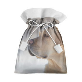 Подарочный 3D мешок с принтом Лабрадор в Кировске, 100% полиэстер | Размер: 29*39 см | далматин | далматинец | дворняга | лабрадор | любимец | овчарка | пес | питомец | самоед | собака | собачка | щенок