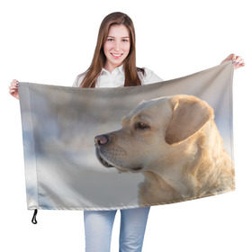 Флаг 3D с принтом Лабрадор в Кировске, 100% полиэстер | плотность ткани — 95 г/м2, размер — 67 х 109 см. Принт наносится с одной стороны | далматин | далматинец | дворняга | лабрадор | любимец | овчарка | пес | питомец | самоед | собака | собачка | щенок
