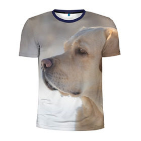 Мужская футболка 3D спортивная с принтом Лабрадор в Кировске, 100% полиэстер с улучшенными характеристиками | приталенный силуэт, круглая горловина, широкие плечи, сужается к линии бедра | Тематика изображения на принте: далматин | далматинец | дворняга | лабрадор | любимец | овчарка | пес | питомец | самоед | собака | собачка | щенок