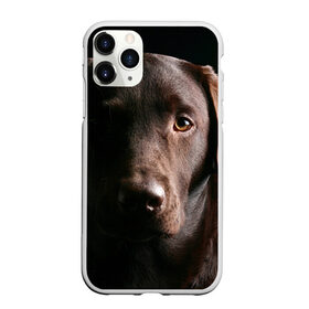 Чехол для iPhone 11 Pro матовый с принтом Лабрадор в Кировске, Силикон |  | далматин | далматинец | дворняга | лабрадор | любимец | овчарка | пес | питомец | самоед | собака | собачка | щенок