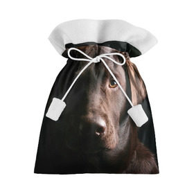 Подарочный 3D мешок с принтом Лабрадор в Кировске, 100% полиэстер | Размер: 29*39 см | далматин | далматинец | дворняга | лабрадор | любимец | овчарка | пес | питомец | самоед | собака | собачка | щенок