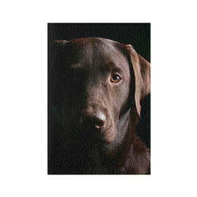 Обложка для паспорта матовая кожа с принтом Лабрадор в Кировске, натуральная матовая кожа | размер 19,3 х 13,7 см; прозрачные пластиковые крепления | Тематика изображения на принте: далматин | далматинец | дворняга | лабрадор | любимец | овчарка | пес | питомец | самоед | собака | собачка | щенок