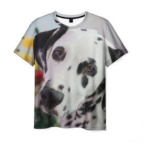 Мужская футболка 3D с принтом Далматин в Кировске, 100% полиэфир | прямой крой, круглый вырез горловины, длина до линии бедер | акита | акита ину | далматин | далматинец | дворняга | ину | лабрадор | любимец | овчарка | пес | питомец | самоед | сиба | сиба ину | собака | собачка | щенок