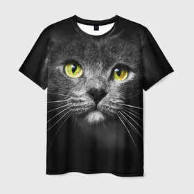 Мужская футболка 3D с принтом Кошачий взгляд в Кировске, 100% полиэфир | прямой крой, круглый вырез горловины, длина до линии бедер | взгляд | взор | глаза | киска | кот | котёнок | кошка | усы