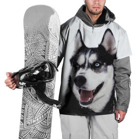 Накидка на куртку 3D с принтом Сибирский хаски в Кировске, 100% полиэстер |  | взгляд | голубые глаза | зима | сибирь | снег | собака | хаски | хаски бандит | холод