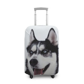 Чехол для чемодана 3D с принтом Сибирский хаски в Кировске, 86% полиэфир, 14% спандекс | двустороннее нанесение принта, прорези для ручек и колес | взгляд | голубые глаза | зима | сибирь | снег | собака | хаски | хаски бандит | холод