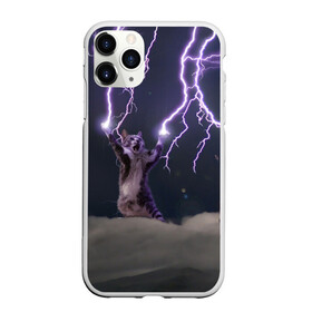 Чехол для iPhone 11 Pro матовый с принтом Грозовой кошак в Кировске, Силикон |  | lightning cat