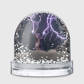 Водяной шар с принтом Грозовой кошак в Кировске, Пластик | Изображение внутри шара печатается на глянцевой фотобумаге с двух сторон | Тематика изображения на принте: lightning cat